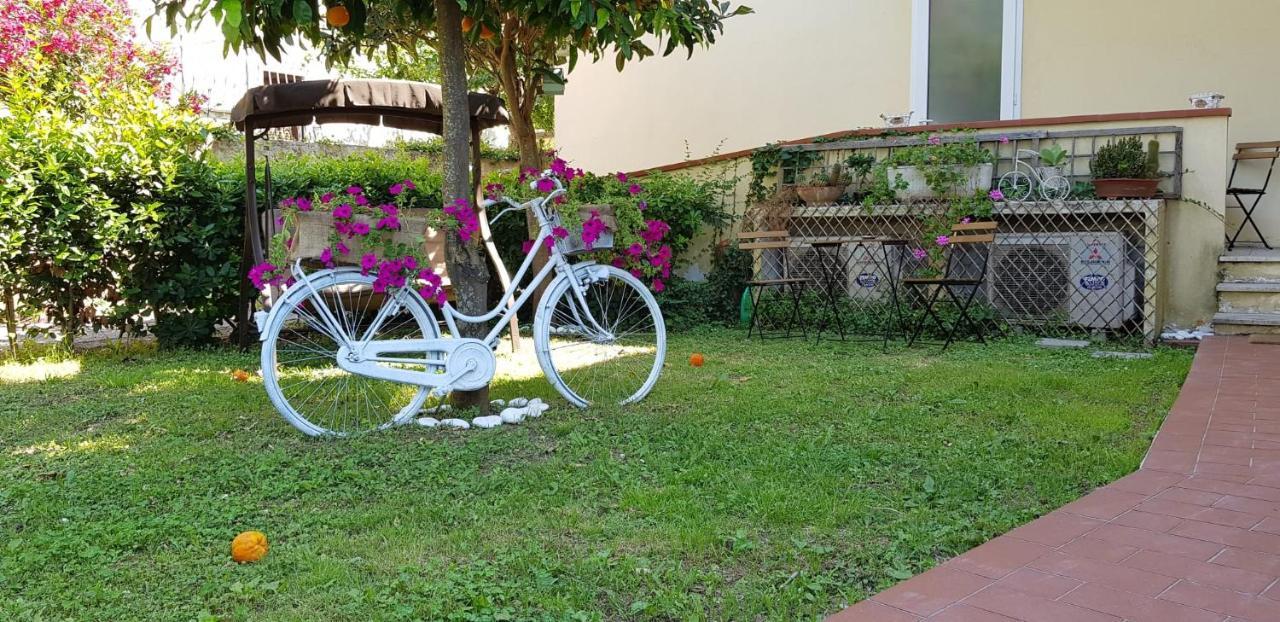 Villa Noemi Bed&Breakfast Pisa Ngoại thất bức ảnh